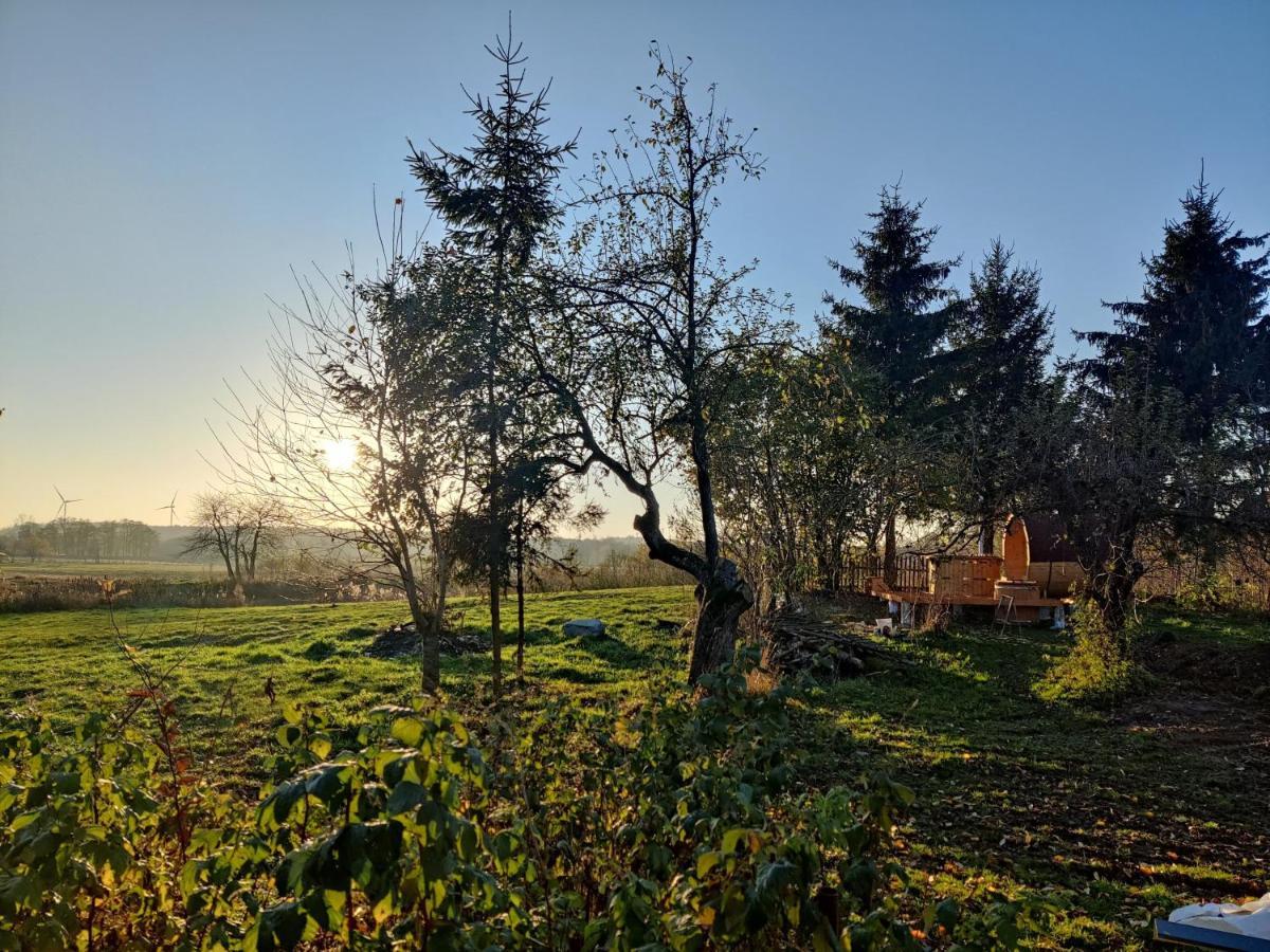 Osada Karszewo, Sauna Bania, Ryby 외부 사진